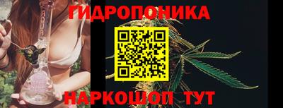 шишки Ливны