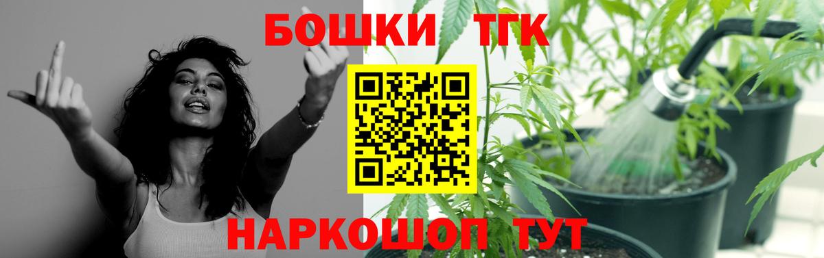 Каннабис сатива Калининград